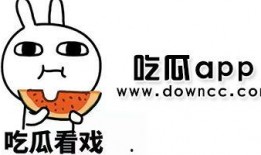 今日吃瓜是哪个app,探索热门社交APP的魅力